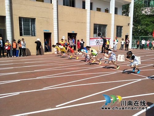 泸县百和小学参加县运会获团体二等奖