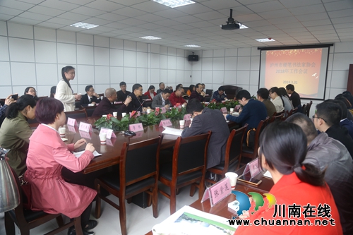 泸州市硬笔书法家协会：书艺引领，文艺惠民