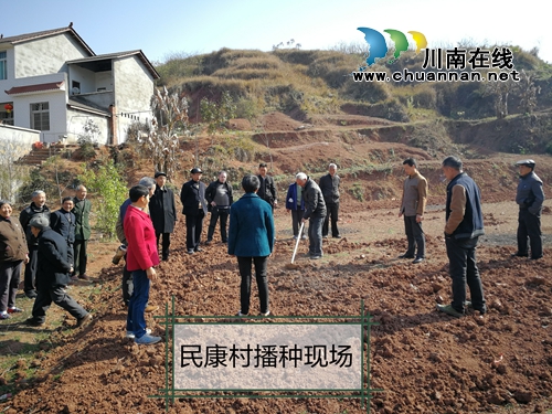 宜宾南溪区大观镇多措并举抗旱促春耕