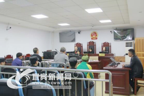 宜宾首例提级管辖环境资源犯罪案件一审宣判(图1) 宜宾首例提级管辖环境资源犯罪案件一审宣判(图1)