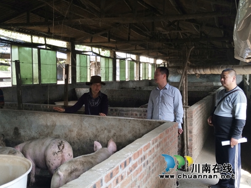 泸县百和镇开展安全生产大检查(图2)