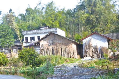 清明节：家风千秋延传续(图3)