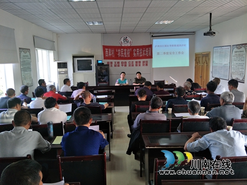 江阳区华阳街道领导到西岸村指导安全工作(图1)