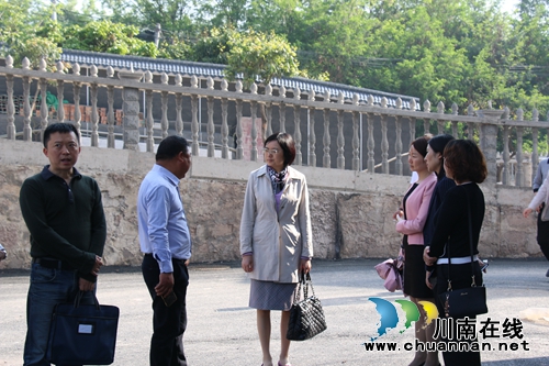 省商务厅督导潮河商贸流通转型升级示范项目(图1)