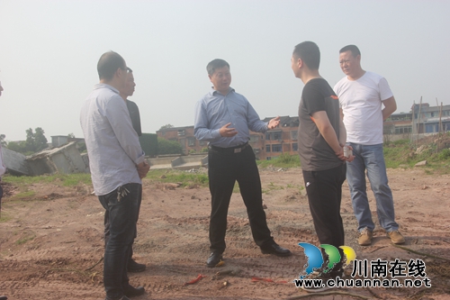 杨双全到百和镇调研“一镇一街”项目(图2)