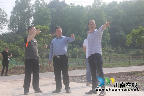 杨双全到百和镇调研“一镇一街”项目(图1)