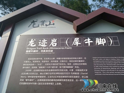 泸县天兴“龙贯春会” 三万群众踩山祈福(图11) 泸县天兴“龙贯春会” 三万群众踩山祈福(图11)