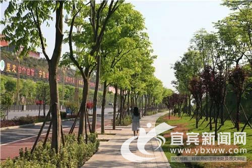 打造竹文化特色&nbsp;长宁迎宾景观大道4月底建成(图3)