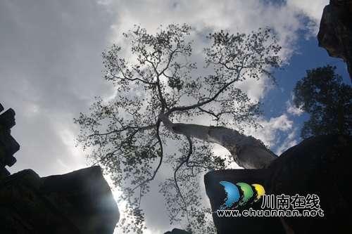 张春玉：和阳光一起去高棉(图7)