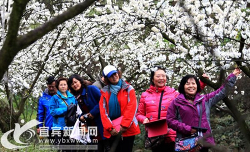 独具特色 宜宾高县入选乡村旅游示范县(图1) 独具特色 宜宾高县入选乡村旅游示范县(图1)