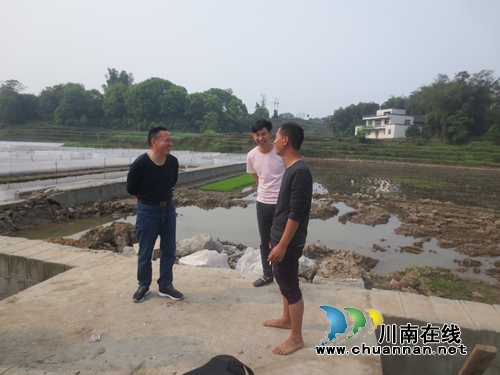 泸县政协小组视察太伏镇特色产业(图1)