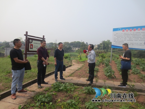 泸县政协小组视察太伏镇特色产业(图2)