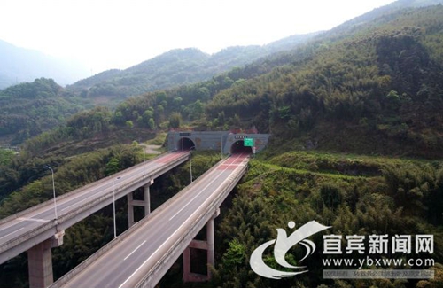 宜宾兴文新造竹超2万余亩 打造生态竹景观(图1) 宜宾兴文新造竹超2万余亩 打造生态竹景观(图1)