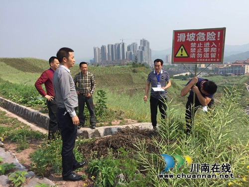 江阳区张坝街道清明节开展节前安全大检查(图1)