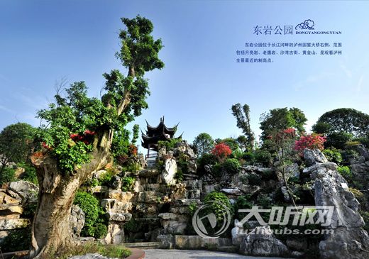 临江仙楼选址确定泸州茜草 预计年内开工建造(图1) 临江仙楼选址确定泸州茜草 预计年内开工建造(图1)