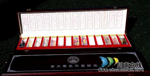 江阳区法院萤火虫普法志愿行走进盐源民族中学(图2) 江阳区法院萤火虫普法志愿行走进盐源民族中学(图2)