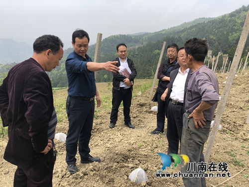 西南医大中医院到古蔺普庆村开展扶贫工作督导(图2) 西南医大中医院到古蔺普庆村开展扶贫工作督导(图2)