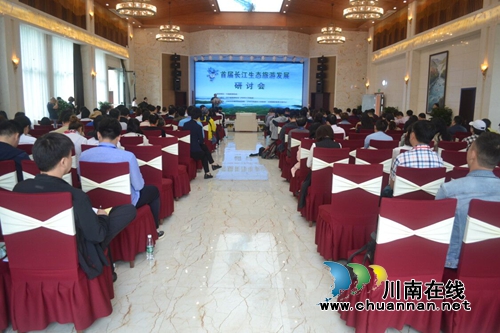 四川省第九届乡村文化旅游节在泸州纳溪举行(图9) 四川省第九届乡村文化旅游节在泸州纳溪举行(图9)