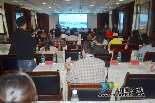 四川省第九届乡村文化旅游节在泸州纳溪举行(图8) 四川省第九届乡村文化旅游节在泸州纳溪举行(图8)