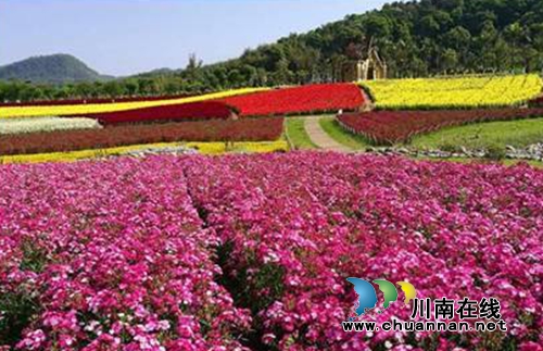 旅游强市品质升级&nbsp;宜宾新增22个文化旅游园区(图10)