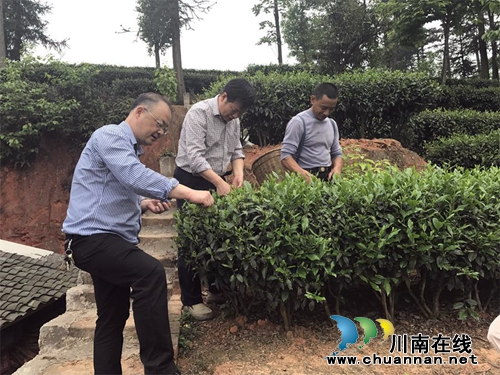 纳溪区人民医院党总支书记带头扶贫(图1) 纳溪区人民医院党总支书记带头扶贫(图1)