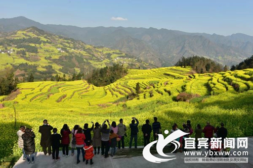 屏山中都:借鱼凫文化遗韵 打造“世界夷都”(图3) 屏山中都:借鱼凫文化遗韵 打造“世界夷都”(图3)
