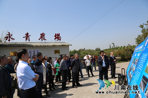 全省农村经营管理工作现场会在泸县召开(图3) 全省农村经营管理工作现场会在泸县召开(图3)