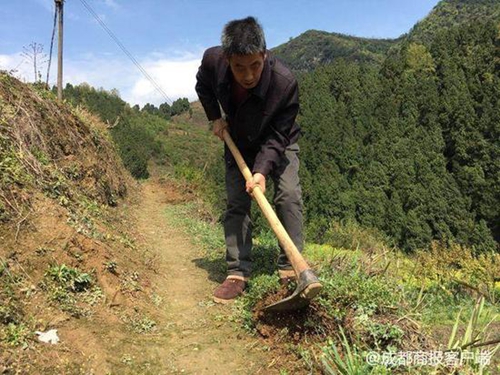 防止孩子上学被露水湿鞋&nbsp;泸州老人除草10年(图2)