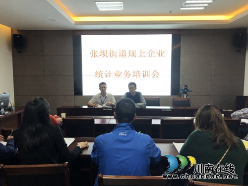 泸州市江阳区张坝街道开展规上企业统计培训(图1) 泸州市江阳区张坝街道开展规上企业统计培训(图1)