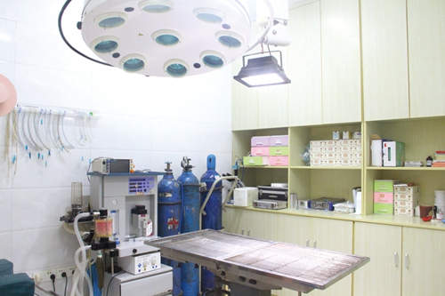 泸州宠物医院背后那些事(图1)