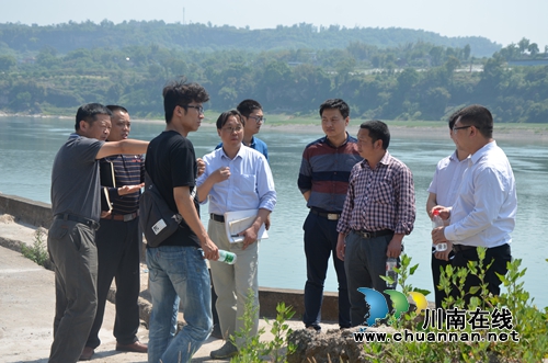 长江委专家到泸县太伏镇检查长江沿江岸线保护和利用工作(图1)