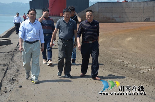 长江委专家到泸县太伏镇检查长江沿江岸线保护和利用工作(图3)