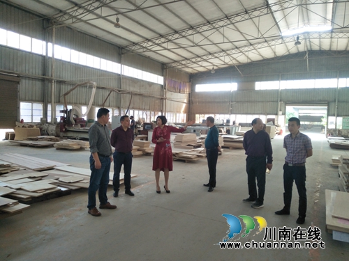 合江县人大到临港工业园区开展调研走访(图1)