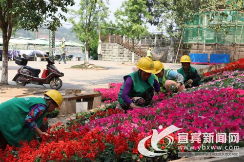 风貌改造绿化亮化 宜宾李庄古镇核心区变脸(图1) 风貌改造绿化亮化 宜宾李庄古镇核心区变脸(图1)