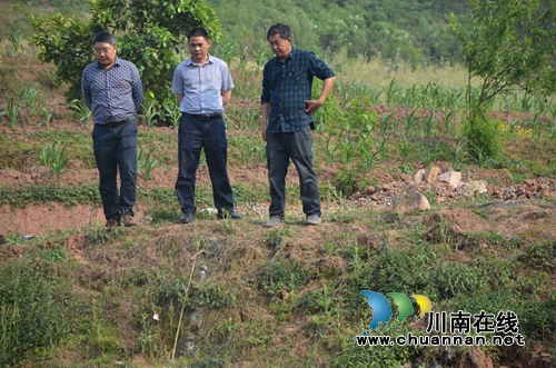 泸县太伏镇领导率队督查安全生产工作(图1) 泸县太伏镇领导率队督查安全生产工作(图1)