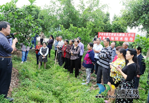泸州首个学会工作站落户龙马潭&nbsp;助力果农致富(图3)