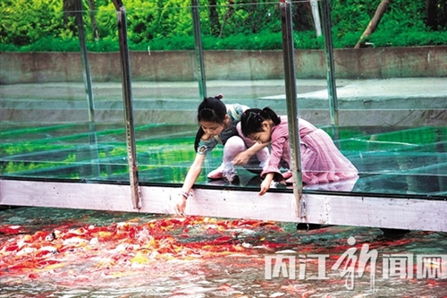 内江:别处玻璃栈道崖上 这里的却建在水上!(图1) 内江:别处玻璃栈道崖上 这里的却建在水上!(图1)