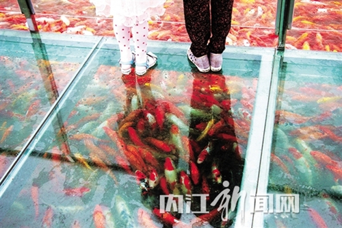 内江:别处玻璃栈道崖上 这里的却建在水上!(图3) 内江:别处玻璃栈道崖上 这里的却建在水上!(图3)