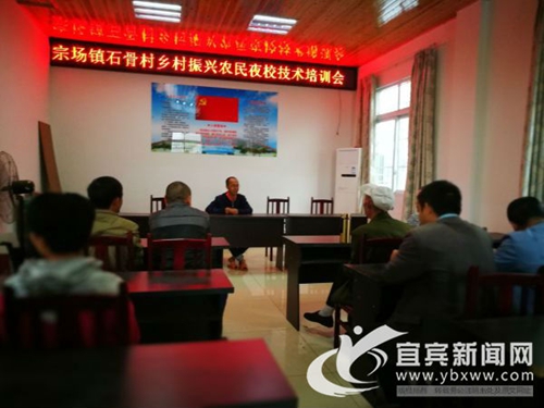 从卖菜到卖菜苗&nbsp;宜宾这个“新菜农”年入60万(图5)