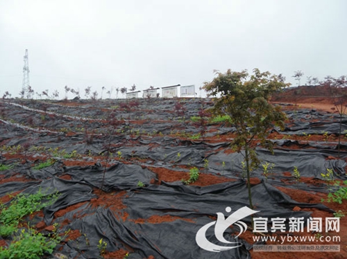 宜宾国家农科园推动企业与以色列企业合作共赢(图2) 宜宾国家农科园推动企业与以色列企业合作共赢(图2)