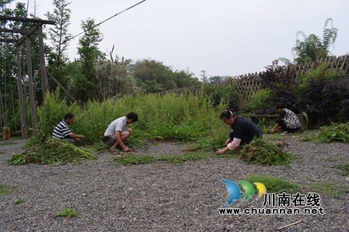江阳区华阳街道：就业扶贫惠民生(图1)