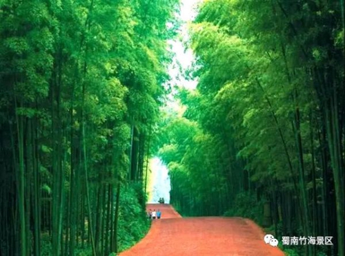 蜀南竹海春夏皆有美景&nbsp;不可错过“打卡”胜地(图3)