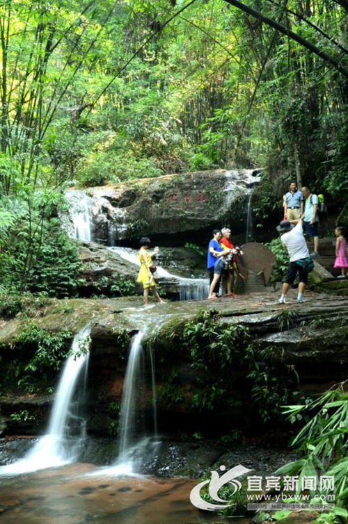 蜀南竹海春夏皆有美景&nbsp;不可错过“打卡”胜地(图6)