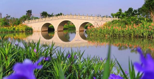 五一哪里耍？到泸州蓝光首届花博会饱览秀色！(图2)