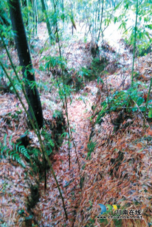 今年7月&nbsp;纳溪护国战壕或为游客提供“5D”体验(图4)