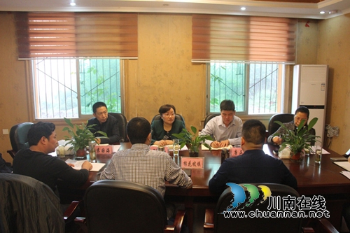 纳溪区棉花坡镇：人大调研促安全(图1)