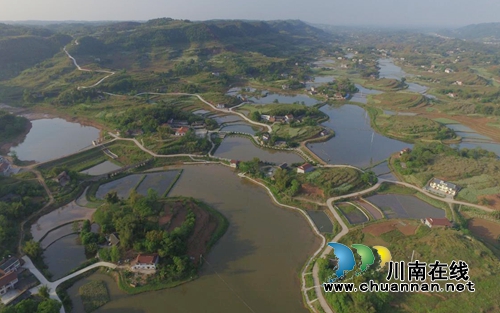 宜宾南溪区大观镇荣获“四川省园林镇”称号(图3)