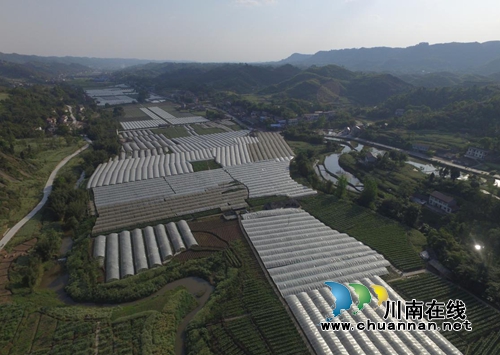 宜宾南溪区大观镇荣获“四川省园林镇”称号(图4)