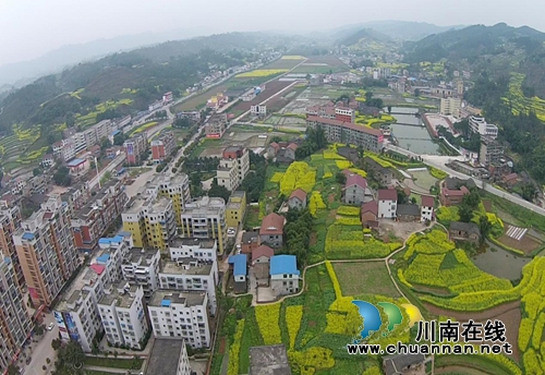 宜宾南溪区大观镇荣获“四川省园林镇”称号(图5)