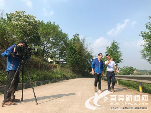 宜宾80后青年创新开展竹荪采摘&nbsp;受央视关注(图1)